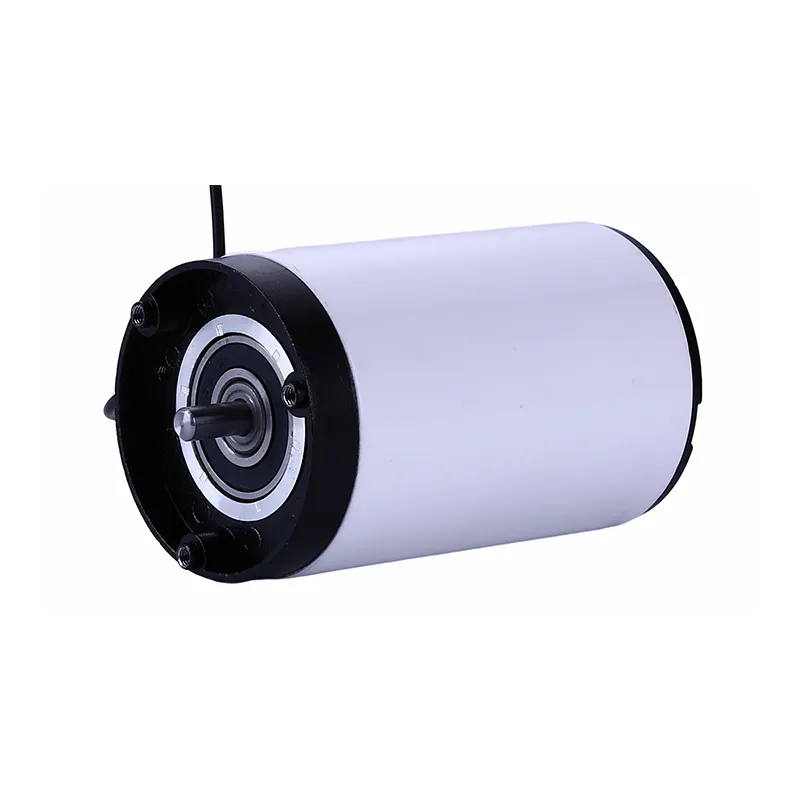 24V DC Water Pump Motor